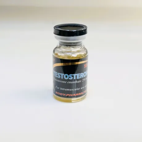 Фото 4 - Тестостерон Энантат БодиФарм (Testosteron-E BodyPharm) 250мг 10мл